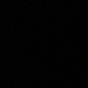 Meet your Posher, Ava